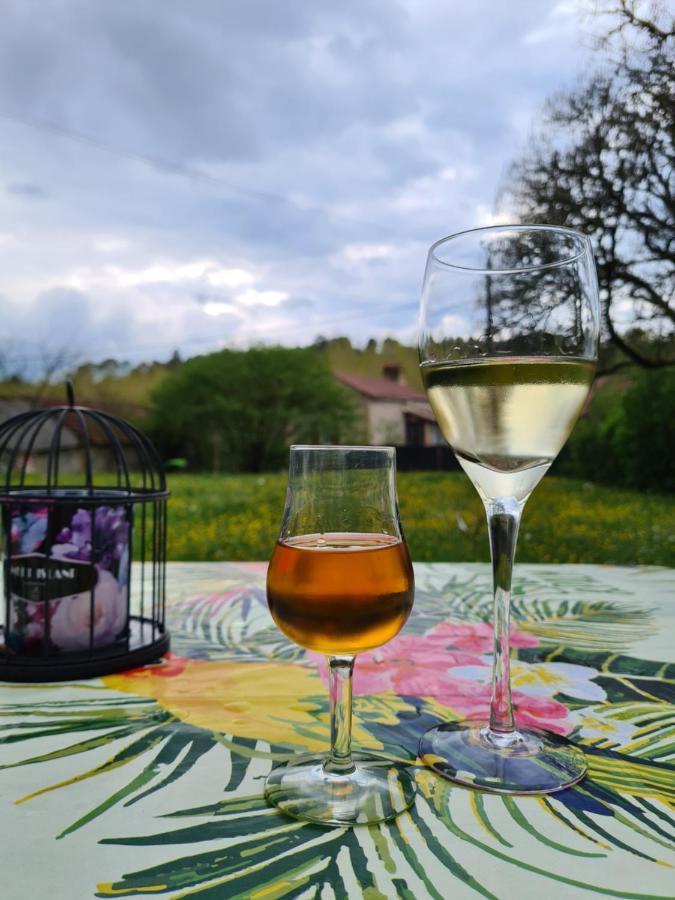 La Perle De Frayssinet-Le-Gelat - Chambre D'Hotes - B&B Eksteriør bilde